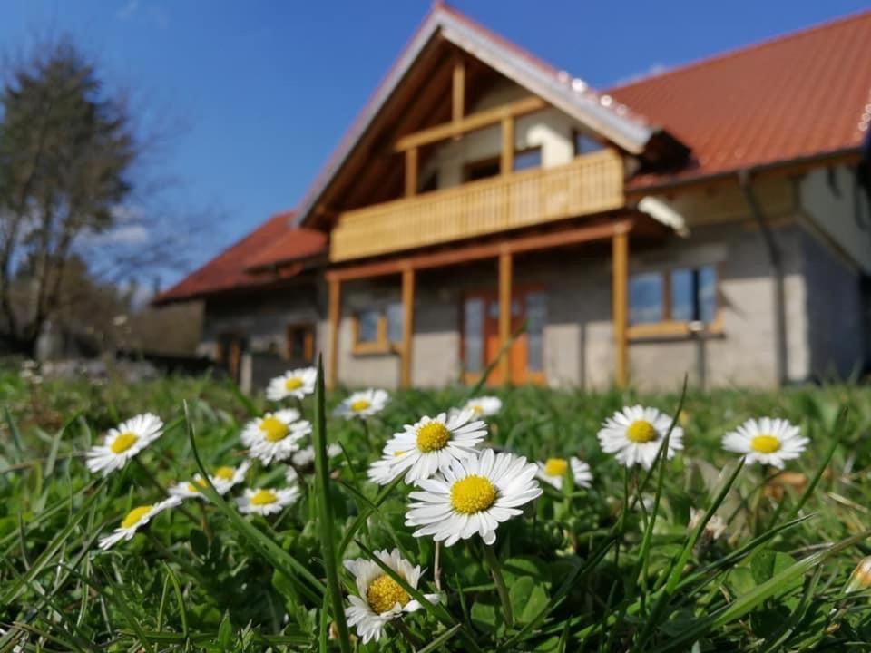Wandertraum Johann - Fewo Eifel Kruft Ngoại thất bức ảnh
